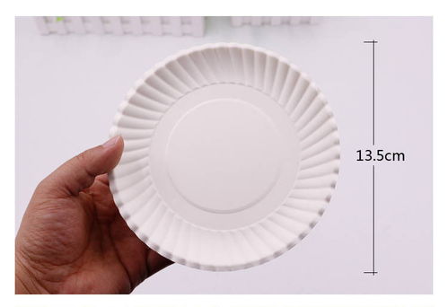 創新教學與實用批發 一次性紙盤子繪畫在幼兒園手工活動中的多功能應用