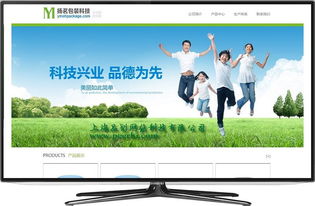 奉賢網絡技術開發(fā) 從網站建設到移動端微網站的系統(tǒng)構建指南